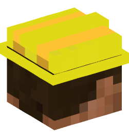 Minecraft head — People