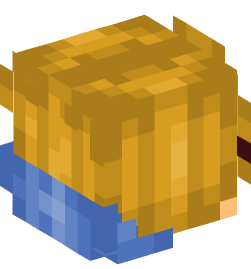 Minecraft head — People