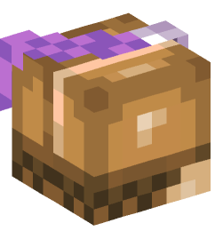 Minecraft head — People