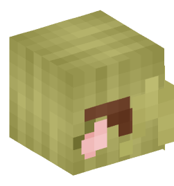 Minecraft head — Creatures