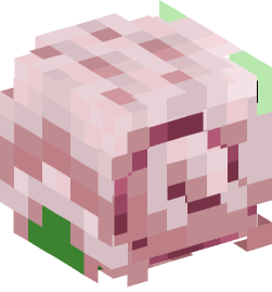 Minecraft head — Animals