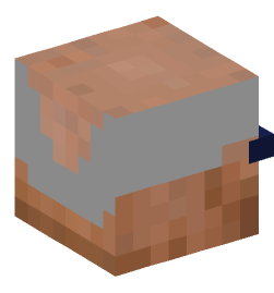 Minecraft head — Creatures