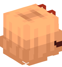 Minecraft head — Creatures