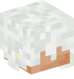 Minecraft head — People