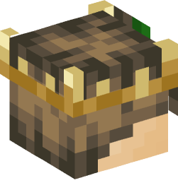 Minecraft head — People