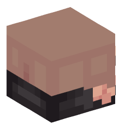 Minecraft head — People