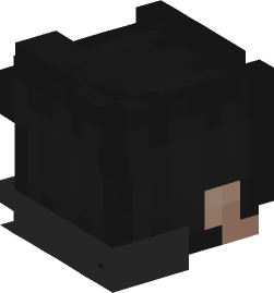 Minecraft head — People