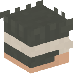 Minecraft head — People