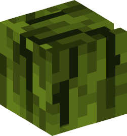 Minecraft head — Plants