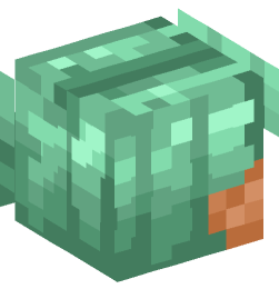 Minecraft head — People