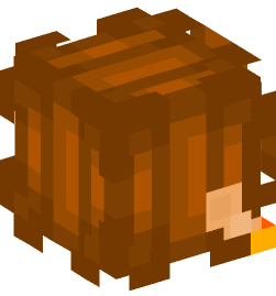 Minecraft head — People