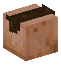 Minecraft head — People