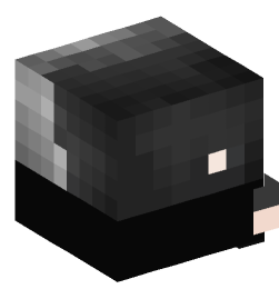 Minecraft head — Decor