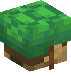 Minecraft head — Decor