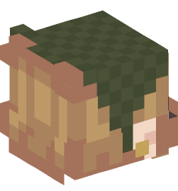 Minecraft head — People