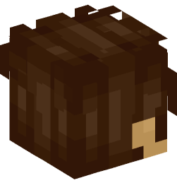 Minecraft head — People