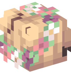 Minecraft head — People