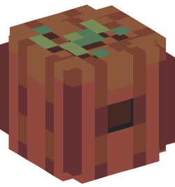 Minecraft head — Plants