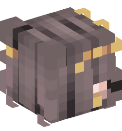 Minecraft head — People