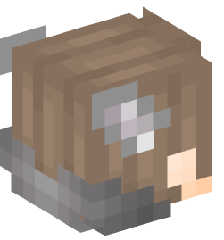 Minecraft head — People