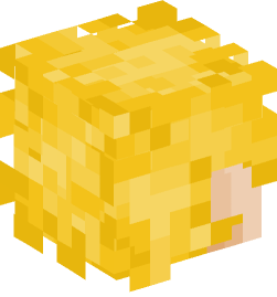 Minecraft head — People