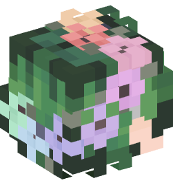 Minecraft head — People