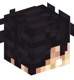 Minecraft head — People