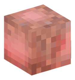 Minecraft head — Animals