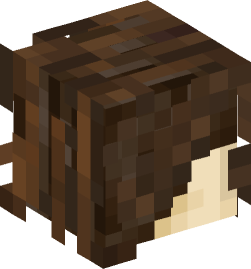 Minecraft head — People