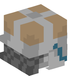 Minecraft head — People