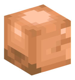 Minecraft head — Creatures