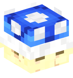 Minecraft head — Decor