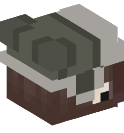 Minecraft head — People