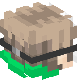 Minecraft head — People