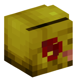 Minecraft head — People