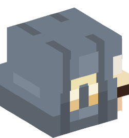 Minecraft head — People