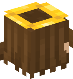 Minecraft head — People