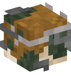 Minecraft head — Creatures