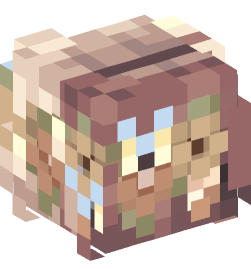 Minecraft head — People