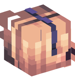 Minecraft head — People