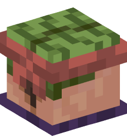 Minecraft head — Creatures