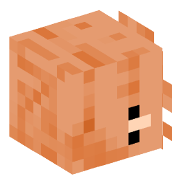 Minecraft head — People