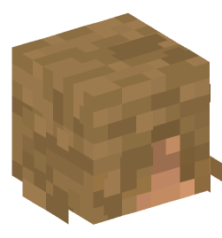 Minecraft head — People