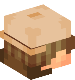 Minecraft head — People