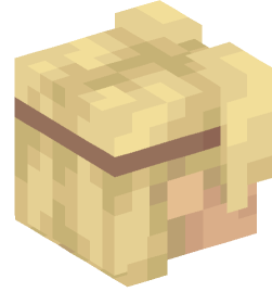 Minecraft head — People