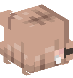 Minecraft head — People