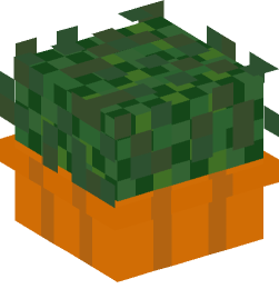 Minecraft head — Plants