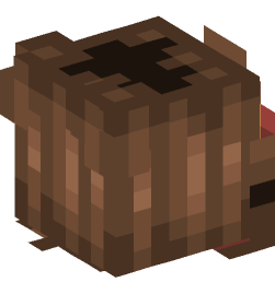 Minecraft head — People