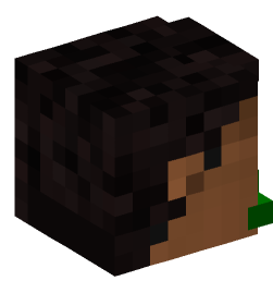 Minecraft head — People