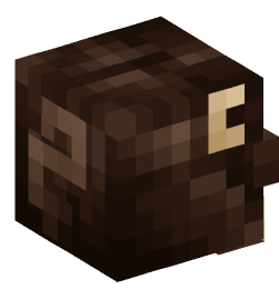 Minecraft head — Decor